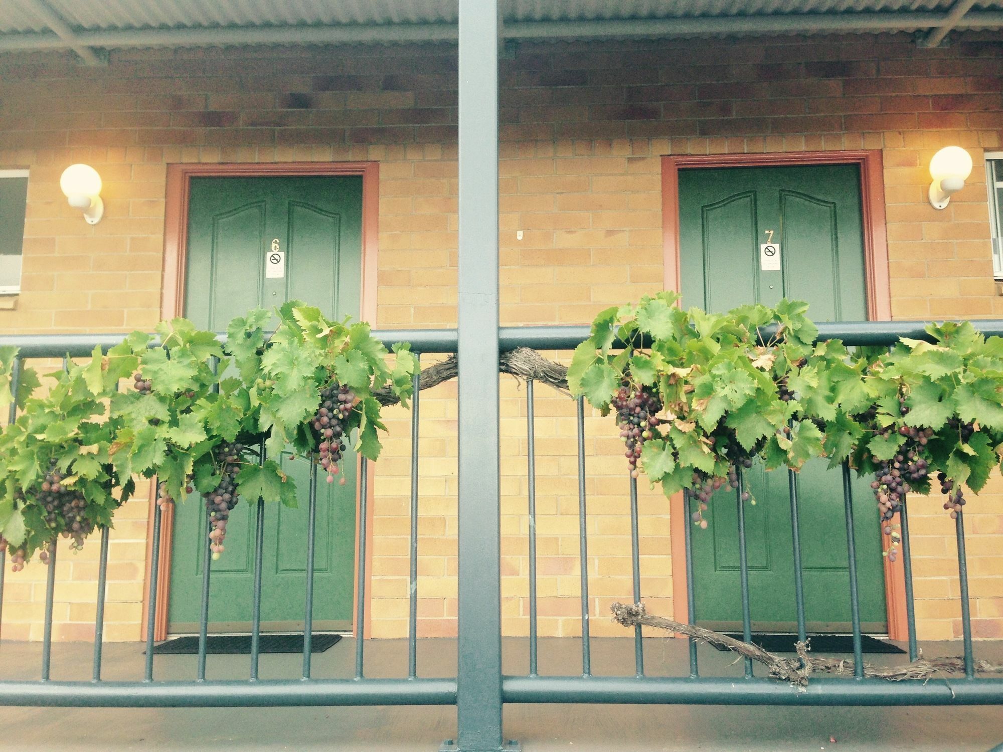The Vines Motel & Cottages スタンソープ エクステリア 写真