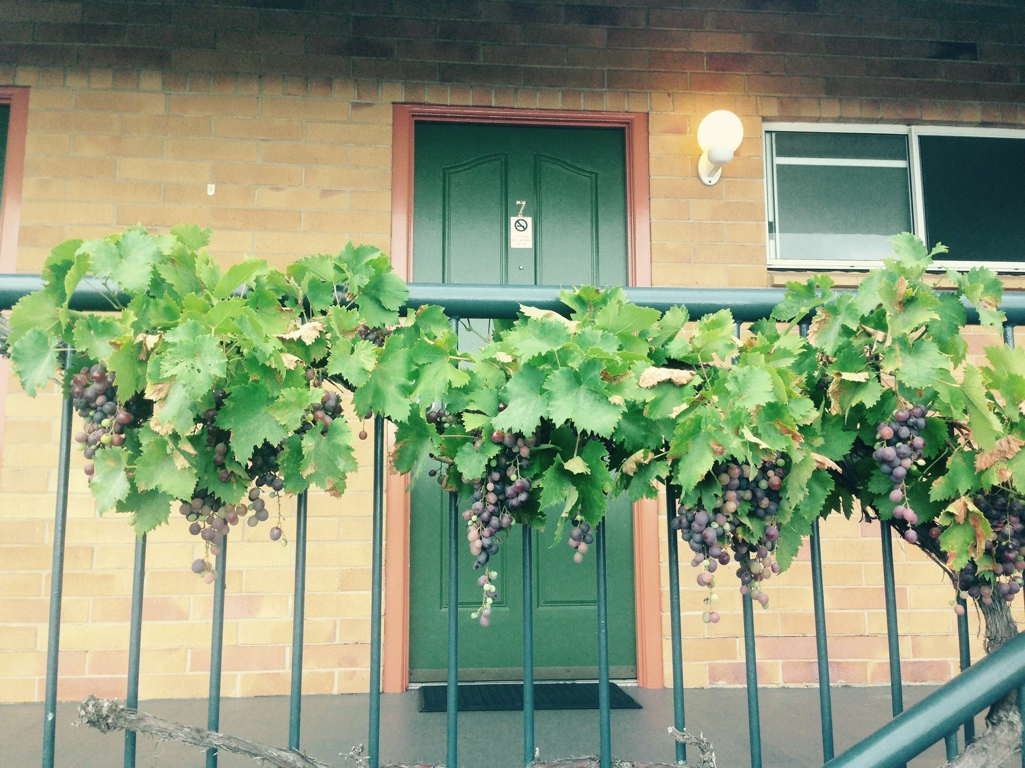 The Vines Motel & Cottages スタンソープ エクステリア 写真